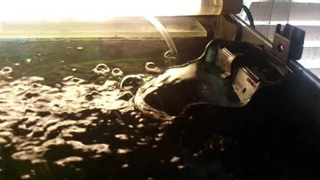 Tetra 250 Kullanımı ve Faydaları Nelerdir?