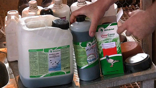 Güvercin İlaçları Kullanımı ve Faydaları Nelerdir?